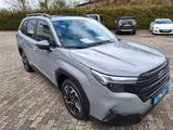 Subaru Forester 2.0ie Exclusive Lineartronic, AHK, MWSt - Subaru Forester Exclusive mit Hybrid-Antrieb (Benzin/Elektro)