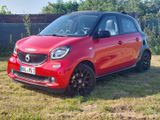 Smart ForFour 5 Türer Panorama Leder Tempo,Sitzheiz. - Smart in Halle