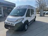 Fiat Ducato Maxi 35 L3H2 Multicab 7-Sitzer AHK RüKa - Fiat Diesel Transporter/Lkw bis 7,5t Ducato maxi