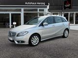 Mercedes-Benz B 180 CDI BlueEfficiency Edition 1 + Winterräder - Winterräder Gebrauchtwagen