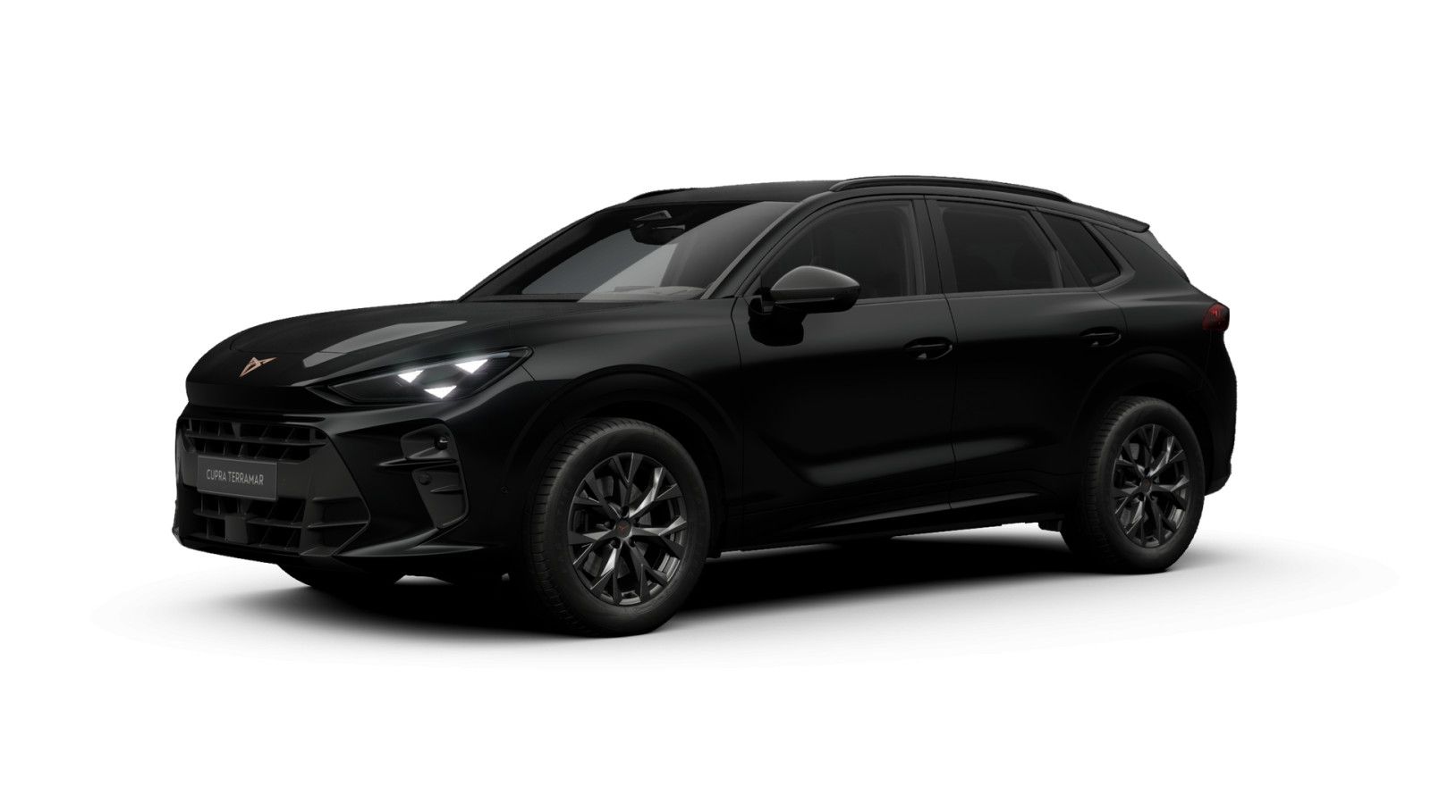 Cupra Terramar - Bild 2