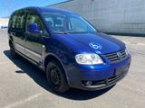 Volkswagen VW Caddy Maxi 1 Hand mit Auffahrrampe für ... - VW Caddy Maxi von privat
