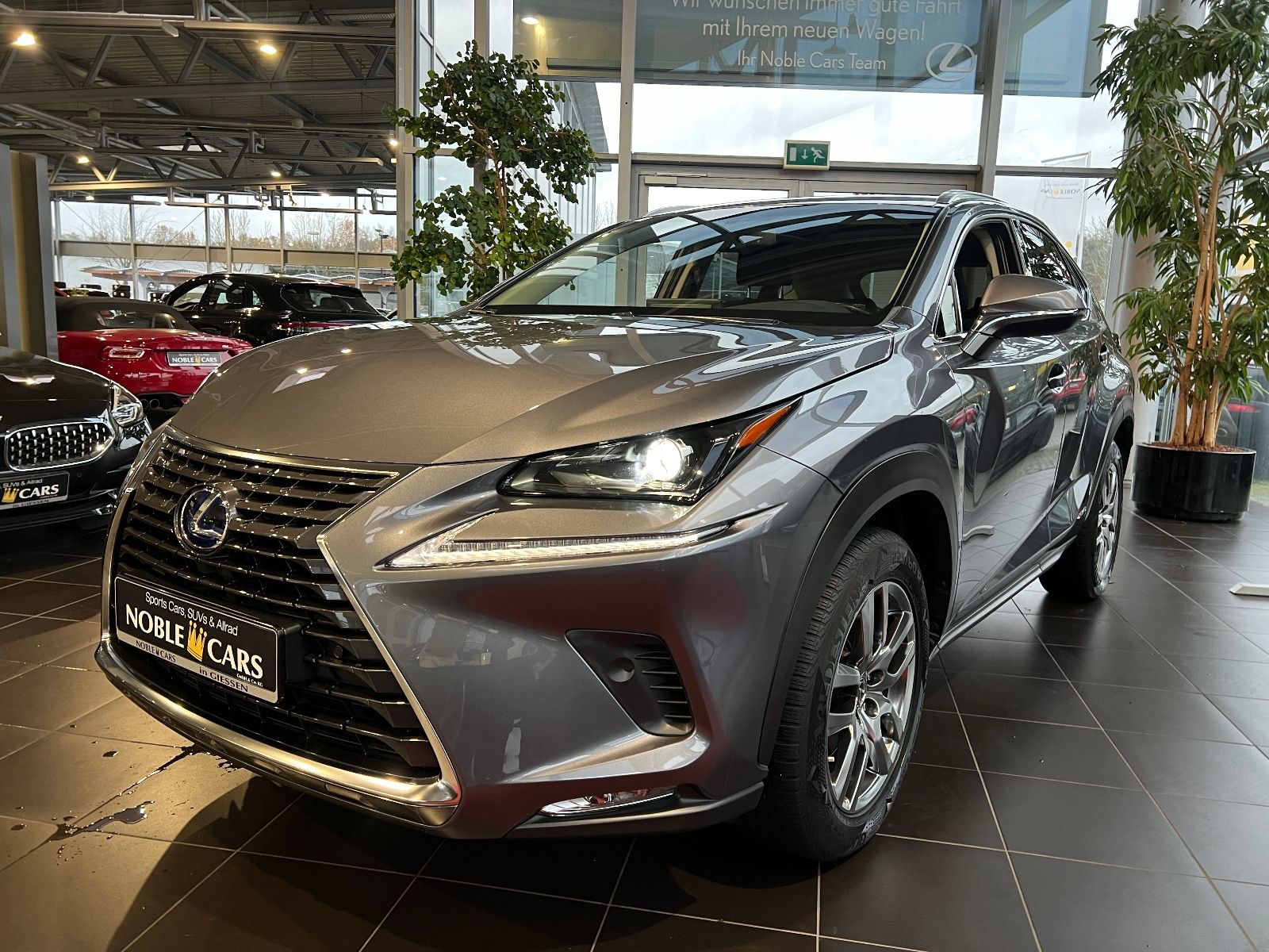 Fahrzeugabbildung Lexus NX 300h Executive Line LED NAV DAB RFK SHZ 18"