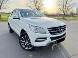 Mercedes-Benz ML 250 CDI BlueTec - weiße Mercedes-Benz ML 250