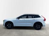 Volvo XC60 Plus Black Edition Plug-In Hybrid Head up D - Volvo XC60 Tageszulassungen