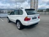 BMW X5 4.4i E53 XENON/LEDER BEIGE/SELTENE FARBKOMBI - BMW X5: 53