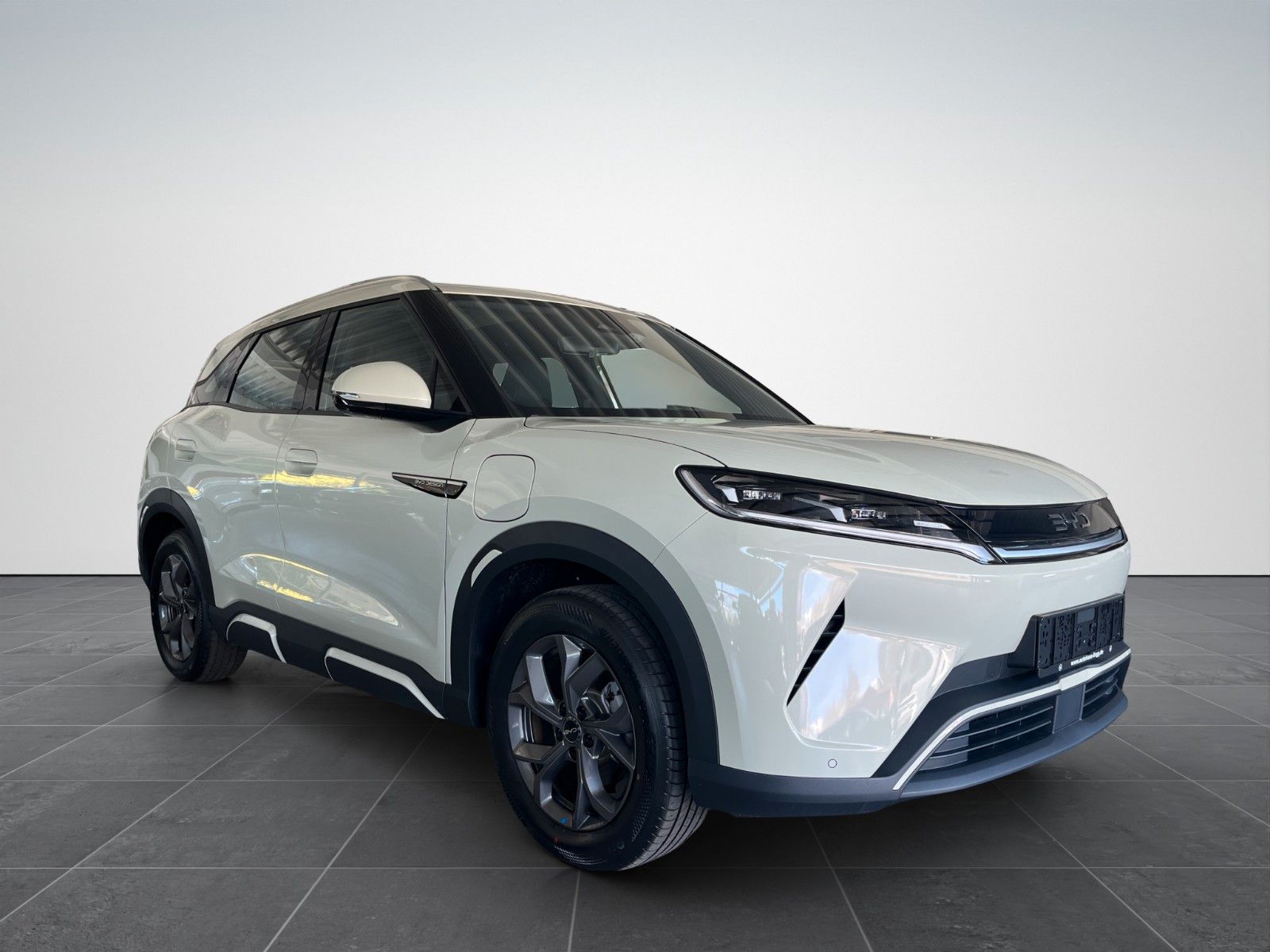 BYD ATTO 2