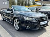Audi A5 3.2 FSI Cabriolet S-line/ACC/4xSHZ/Multi - Audi aus 2010: Cabrio