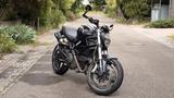 Ducati Monster 696 - DUCATI 2008 MONSTER