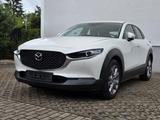 Mazda CX-30 e-SKY.-G M-Hybrid 150 Exclusive-L. AWD - Mazda CX-30 Gebrauchtwagen in Berlin