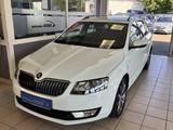 Skoda Octavia Combi Edition Xenon SHZ Alufelge 17 Zoll - Skoda Octavia 1Z mit Benzin-Antrieb