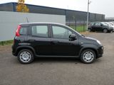 Fiat Panda HYBRID 1.0 GSE 70PS PDC CITY PAKET RADIO - Fiat Panda: Schwarz