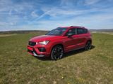 Cupra Ateca 2.0 TSI 300PS 4Drive DSG Velvet-Rot - rote Cupra Ateca