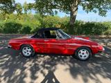 Alfa Romeo Spider 2000 Oldtimer - Alfa Romeo Spider aus 1978