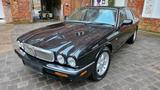 Jaguar Schwarzer Jaguar XJ 8 Souvereign 4.0 x 308 - Jaguar Daimler: 4.0