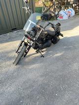 Harley-Davidson Softail Custom - Offers