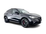 Alfa Romeo Stelvio 2.9 V6 AWD Quadrifoglio (INCL-BTW) Aut. - Alfa Romeo Stelvio: Quadrifoglio