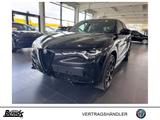 Alfa Romeo Stelvio 2.2 Diesel Q4 Intensa AHK SCHIEBEDACH - Alfa Romeo Stelvio Neuwagen