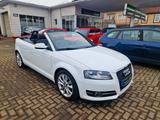 Audi A3 Cabriolet Ambition Klima Sitzhzg. LM-Felgen - Audi A3 aus 2011: Cabrio