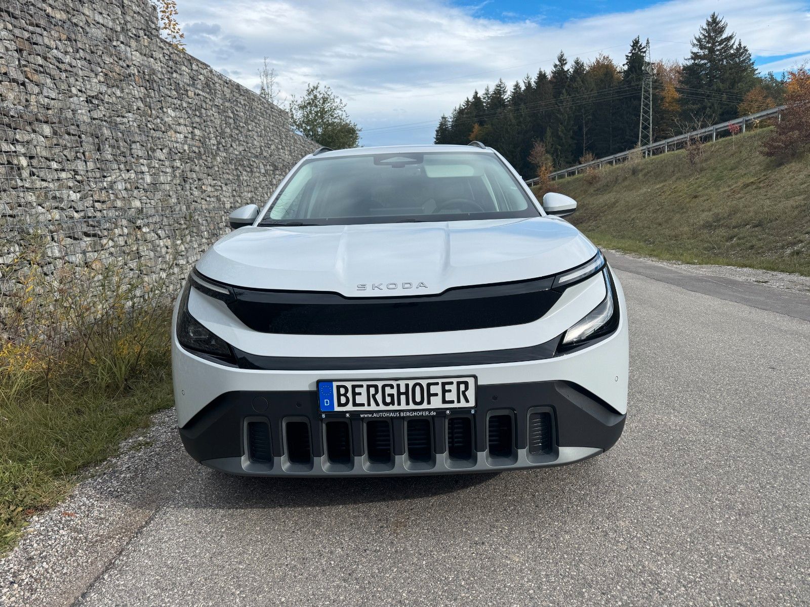 Skoda Epiq 55kWh Selection imagem 2