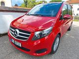 Mercedes-Benz V 250 d  Edition, lang, 6 Einzelsitze, StHz, AHK - Mercedes-Benz V-Klasse von privat