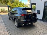 Lexus NX 300 300h - - Lexus NX 300