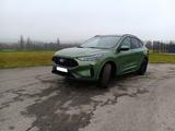 Ford Kuga PHEV ST-Line CVT  - Ford Kuga mit Hybrid-Antrieb: Grün