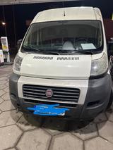 Fiat Ducato - Fiat Ducato in Hagen