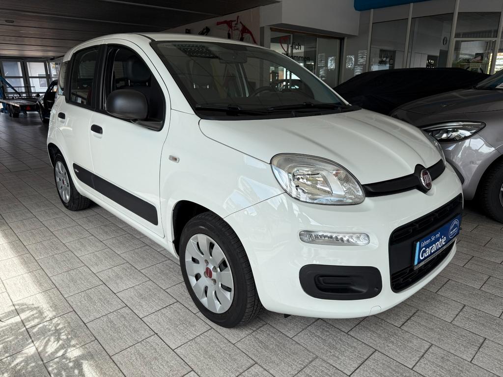Fiat New Panda