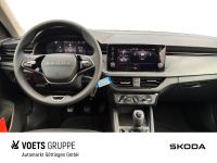 Skoda Kamiq - Vorschau Bild 7