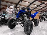 Yamaha Raptor 700 yfm  - QUAD VON 1 BIS 50 CCM