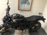 Yamaha XSR 700 Modell 2023 - Offers matching your search criteria