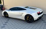 Lamborghini Gallardo LP-560 Top Zustand Carbon 3 - Lamborghini Gallardo: Lp