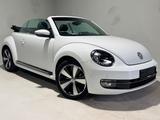 Volkswagen Beetle Cabriolet Cup*Xenon*Leder*TÜVNEU - Volkswagen Beetle in Hannover