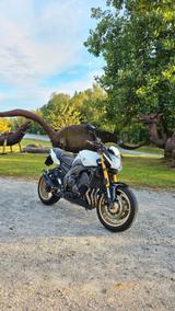Yamaha  FZ8 Top gepflegt  viele Extras  - Angebote entsprechen deinen Suchkriterien