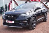 Opel Grandland Basis Plug-in-Hybrid LED Navi Kamera - Opel Grandland (X) Plug-in Hybrid (PHEV) Gebrauchtwagen