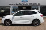 Ford Kuga Hybrid ST-Line X*AUTOMATIK*ASSISTENZ-PAKET* - Ford Kuga Neuwagen in Hamburg