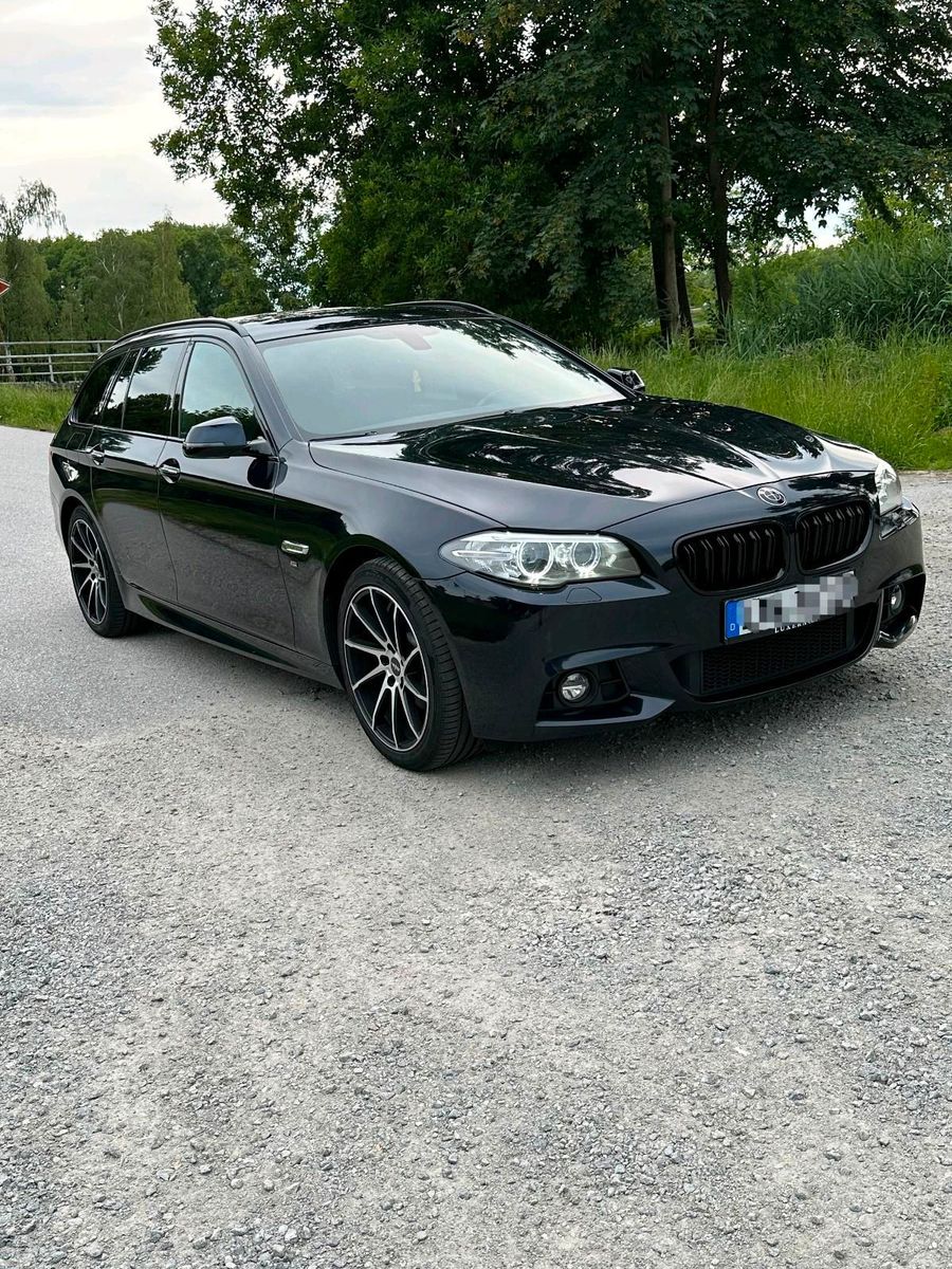 BMW BMW F11 520d