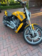 Harley-Davidson V-Rod VRSCF Muscle - HARLEY-DAVIDSON V ROD