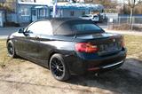 BMW 220i Cabrio Luxury Line - BMW 220 von privat