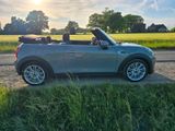 MINI Mini Cooper Cabrio "Chili" - MINI Cooper Cabrio