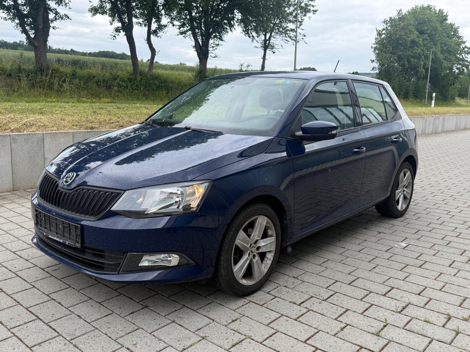Skoda Fabia Cool Plus Klima Sitzheizung 1.Hand