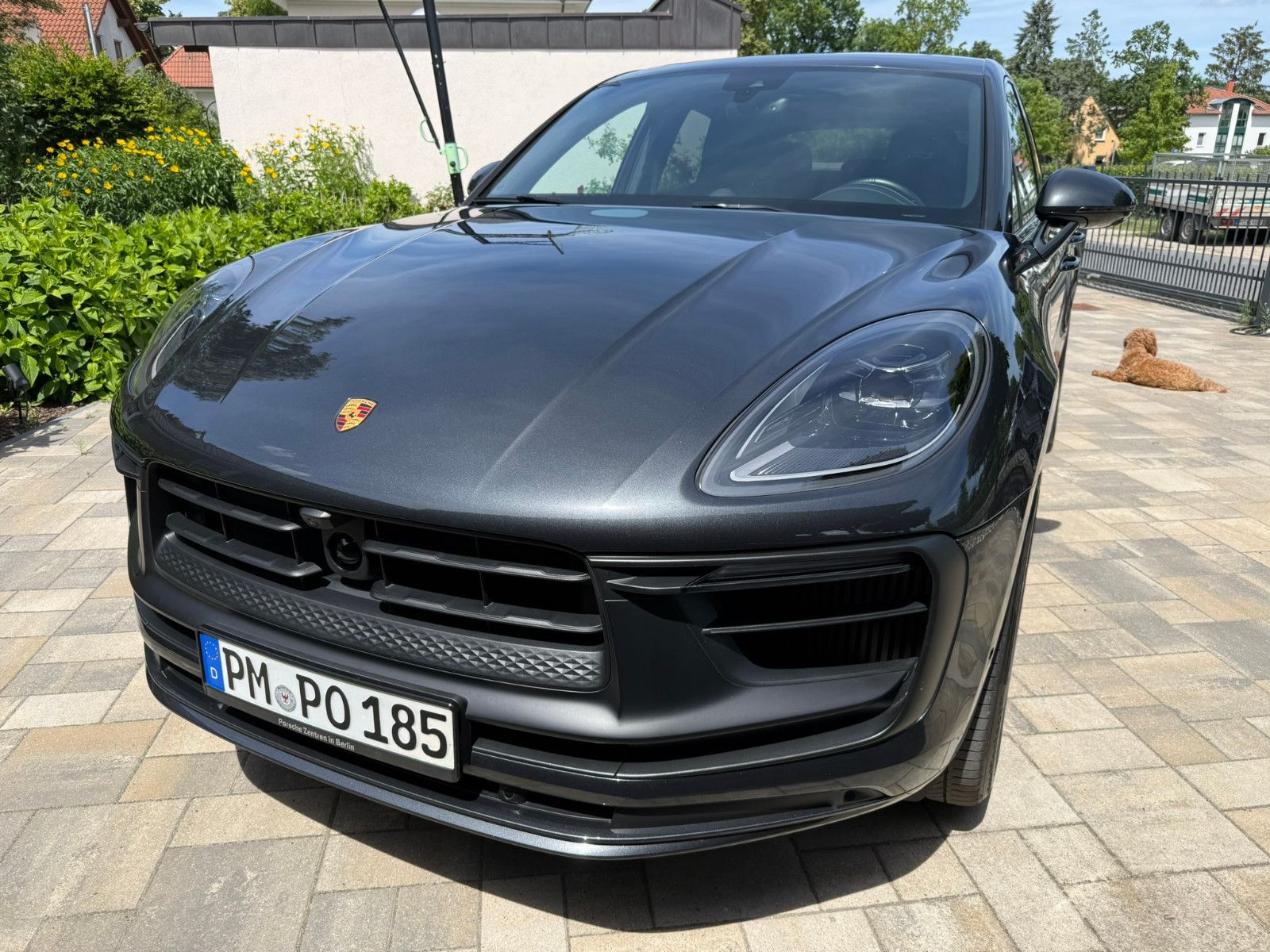 Porsche Macan GTS 360°/Standh./ ACC/Bose/ Approved 2029 foto 3