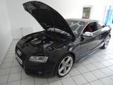 Audi S5 4.2 FSI Tiptronic Quattro Automatik - Audi S5 mit Benzin-Antrieb: Leder, Sportwagen, 4.2