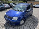 Fiat Panda 1.1 8V Active - Fiat Panda aus 2009