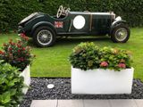 Bentley  / Austin Special Sports keine Replica - Bentley: Sport