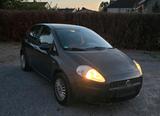 Fiat Punto 1.4 Benzin TÜV 1/2026 - Fiat Punto in Bielefeld
