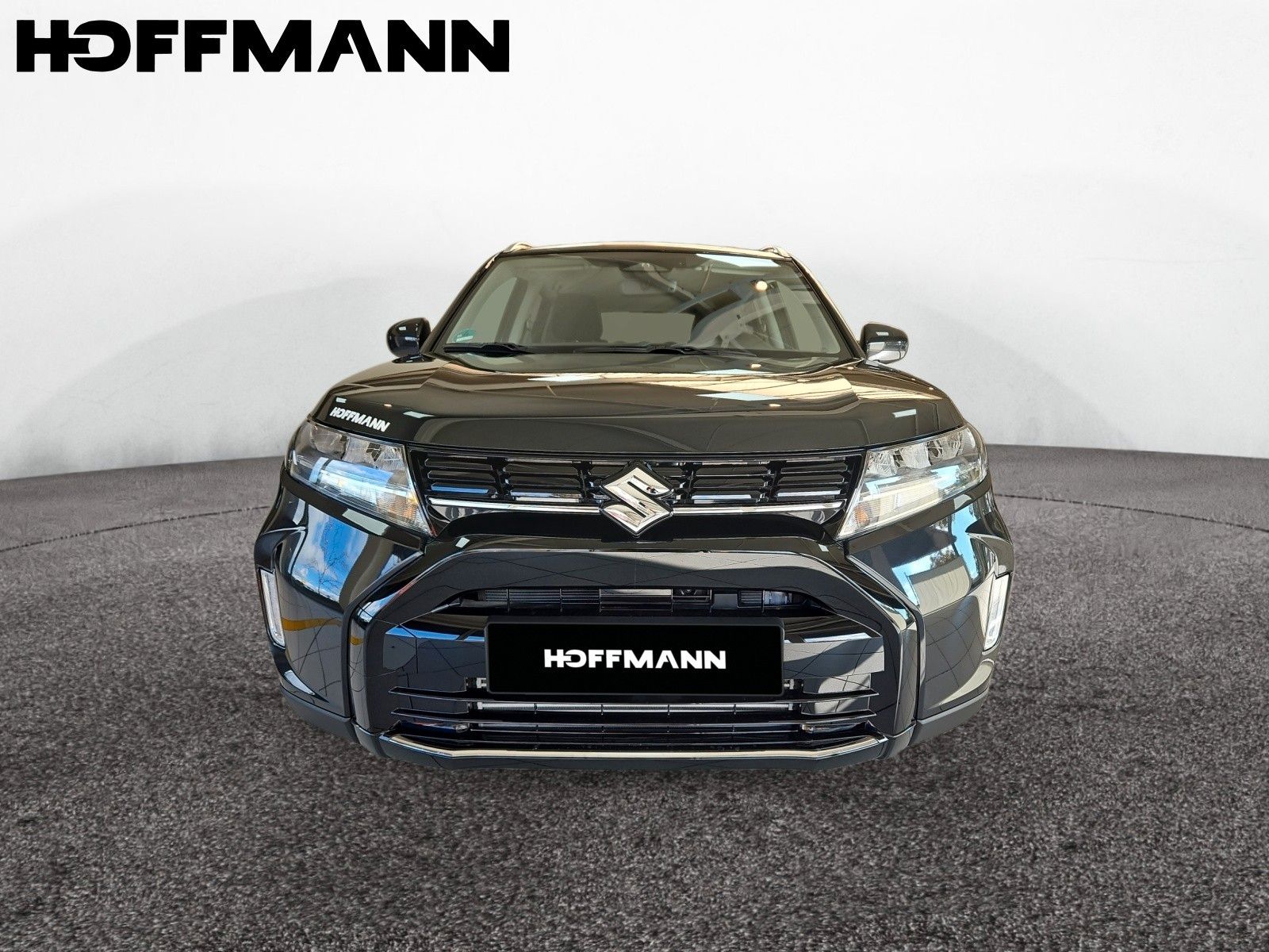 Fahrzeugabbildung Suzuki Vitara