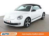 Volkswagen Beetle 1.2 TSI Club BlueMotion Tech - Volkswagen Beetle Gebrauchtwagen