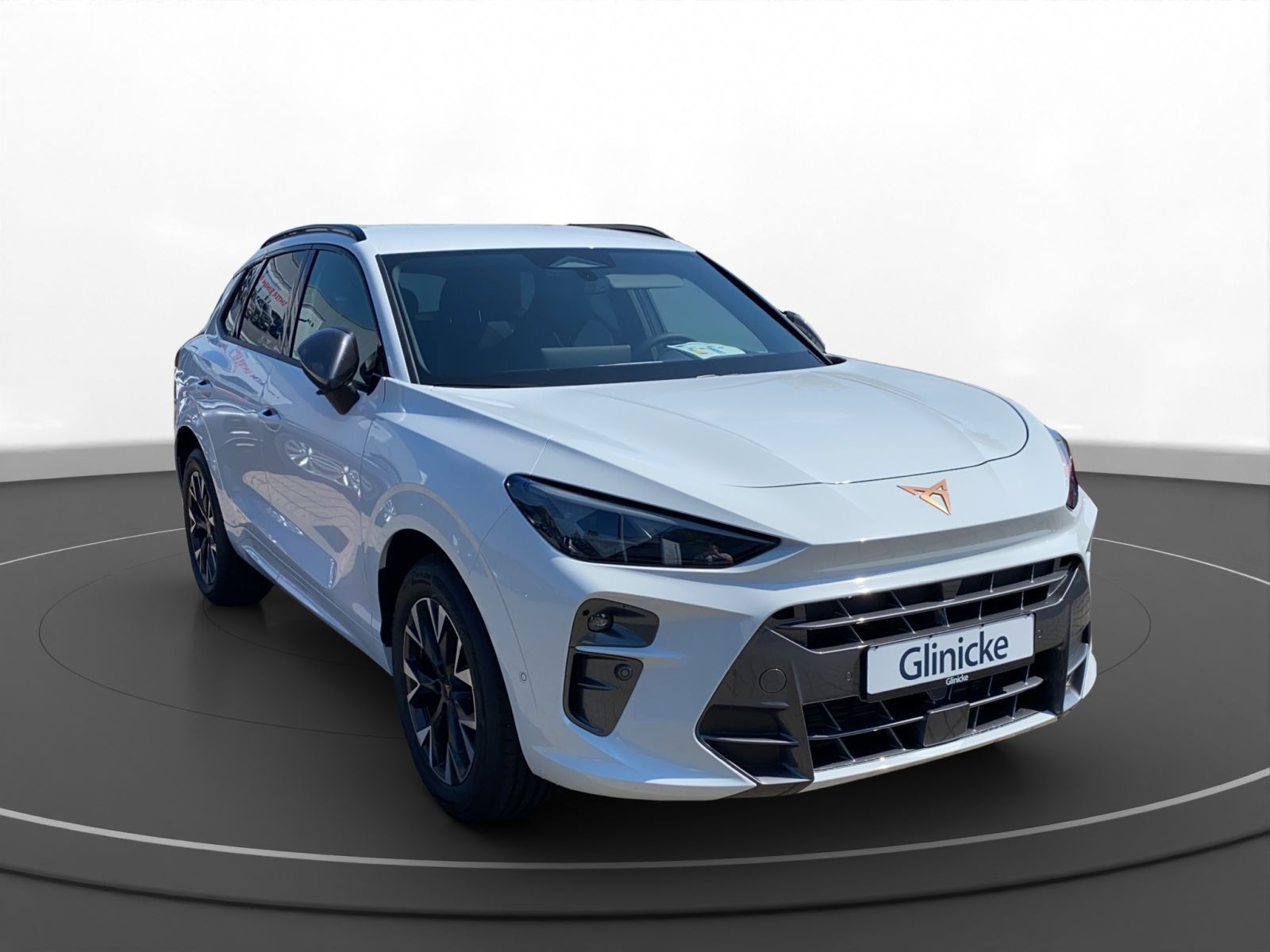 Cupra Terramar - Bild 8